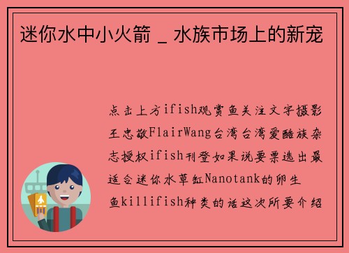 迷你水中小火箭 _ 水族市场上的新宠